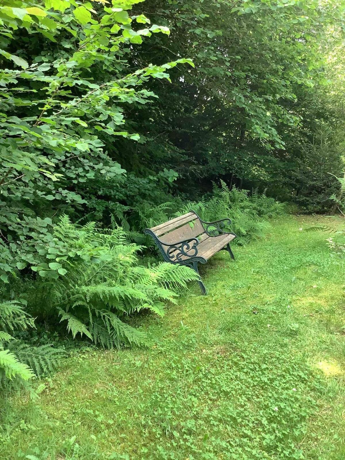 Woodland